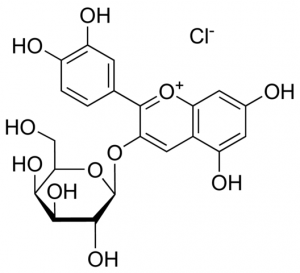 Idaein chloride 91635-10MG