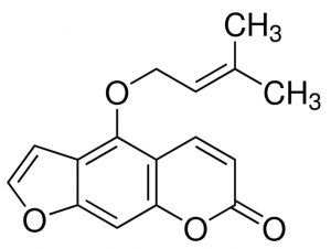 Isoimperatorin 68771-10MG