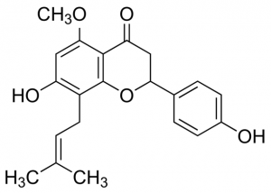 Isoxanthohumol 5890580-25MG