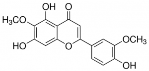 Jaceosidin PHL80786-10MG