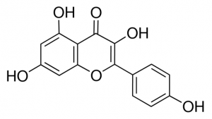 Kaempferol 550580-10MG