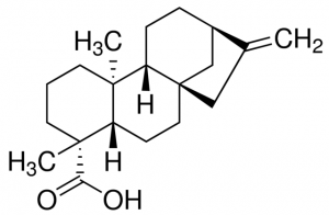 Kaurenoic acid PHL84229-10MG
