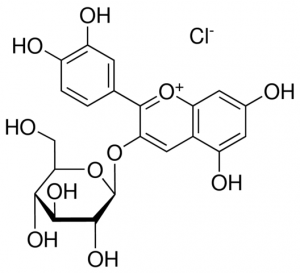 Kuromanin chloride 