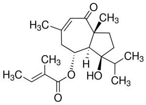 Lapidine 