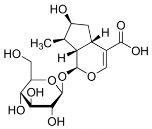 Loganic acid PHL80492-20MG