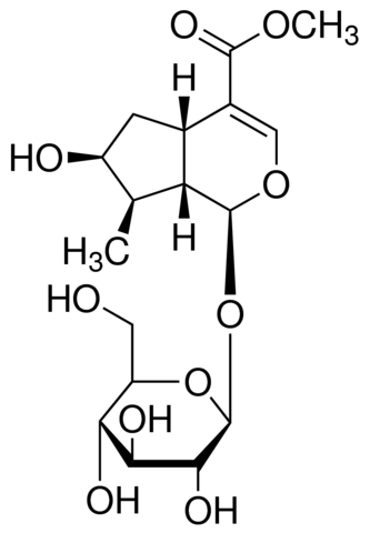 Loganin PHL89721-20MG