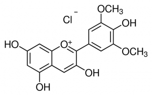 Malvidin chloride PHL80083-10MG