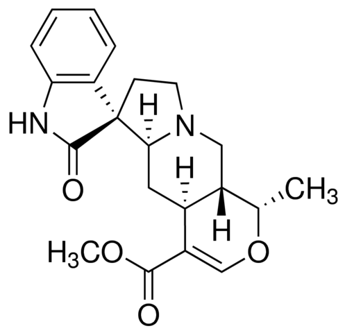 Mitraphylline PHL89736-10MG