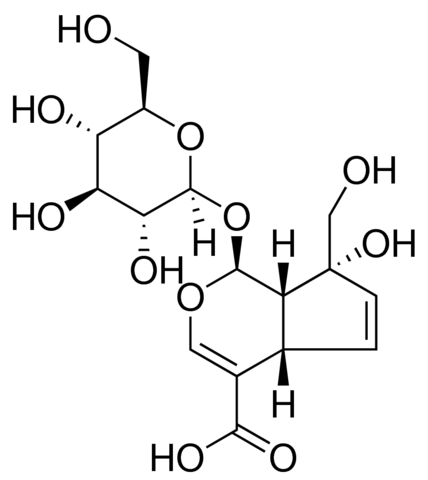 Monotropein PHL80500-10MG