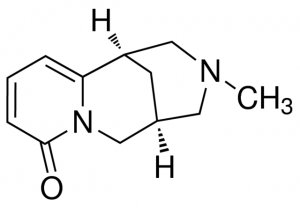 N-Methylcytisine PHL83219-10MG