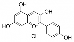 Pelargonidin chloride PHL80084-10MG