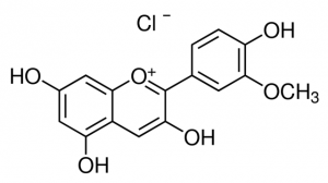 Peonidin chloride PHL80085-5MG