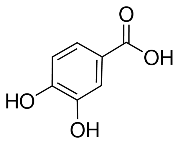 Protocatechuic acid PHL89766-100MG