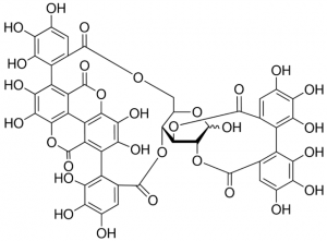Punicalagin (A + B mixture) PHL80524-10MG