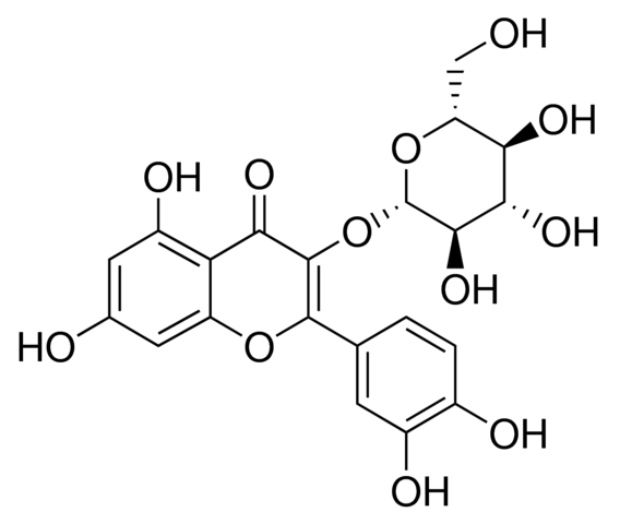 Quercetin 3-glucoside PHL89230-20MG