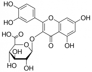 Quercetin 3-glucuronide 310590-25MG