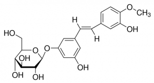 Rhaponticin PHL89776-20MG