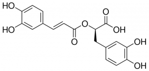 Rosmarinic acid PHL89266-20MG