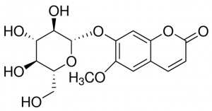 Scopolin PHL82649-10MG
