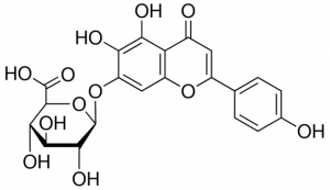 Scutellarin PHL89788-10MG