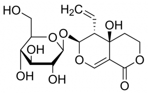 Swertiamarine PHL89513-10MG
