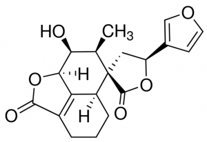 Teucrin A PHL89285-10MG