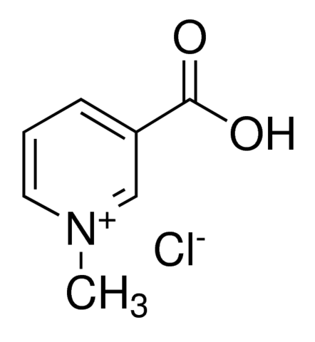 Trigonelline chloride PHL80548-25MG