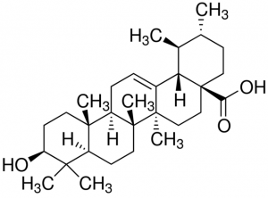 Ursolic acid 3240595-10MG