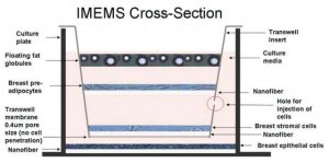 Nanofiber multiwell plate, Interactive MicroEnvironMent System (IMEMS) Z694630-1EA