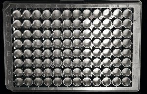 Nanofiber multiwell plate, with random oriented nanofibers Z694452-1EA