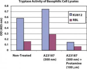 Mast Cell Degranulation Assay Kit IMM001