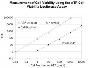 ATP Cell Viability Luciferase Assay SCT149