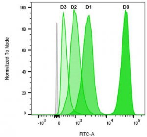 BioTracker 488 Green CSFE Cell Proliferation Kit SCT110