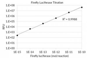 Firefly Luciferase Assay SCT154