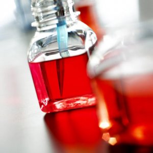 Dulbeccos Modified Eagles Media 2X, With 4,500 mg/L Glucose and L-Glutamine, without NaHCO3 or Sodium Pyruvate SLM-202-B