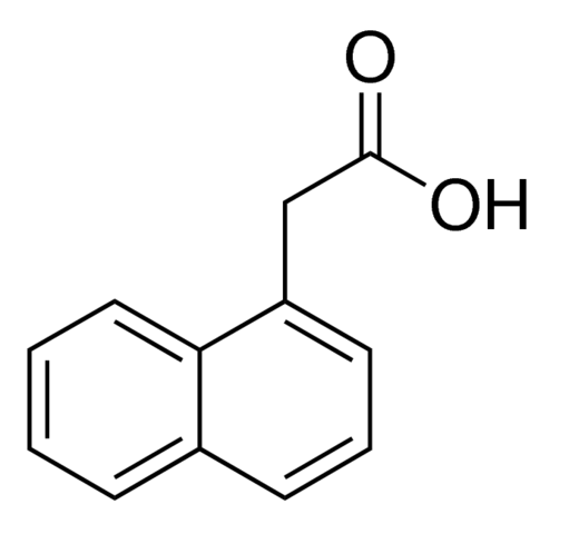 1-Naphthylacetic acid N1641-50ML