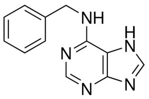 6-Benzylaminopurine 