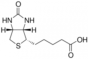 Biotin 