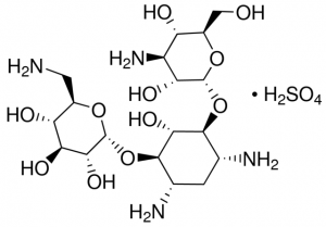 Kanamycin sulfate from Streptomyces kanamyceticus 