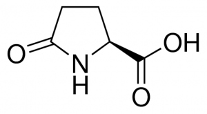 L-Pyroglutamic acid 