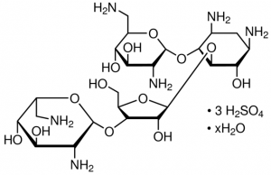 Neomycin trisulfate salt hydrate 