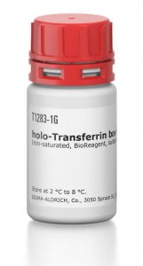holo-Transferrin bovine 