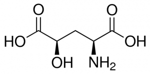 (4R)-4-Hydroxy-L-glutamic acid 