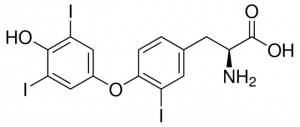 3,3,5-Triiodo-L-thyronine 