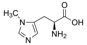 3-Methyl-L-histidine 