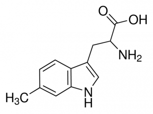 6-Methyl-DL-tryptophan 