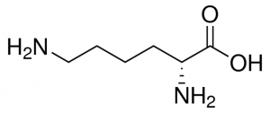 D-Lysine 