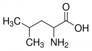 DL-Leucine 