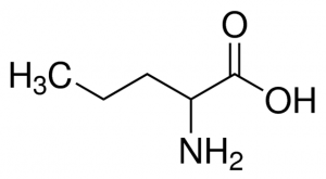 DL-Norvaline 