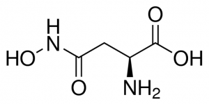 L-Aspartic acid -hydroxamate 